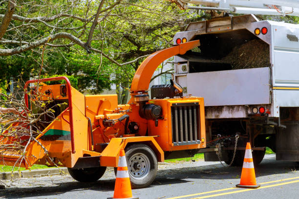 Best Tree Risk Assessment  in New Holstein, WI